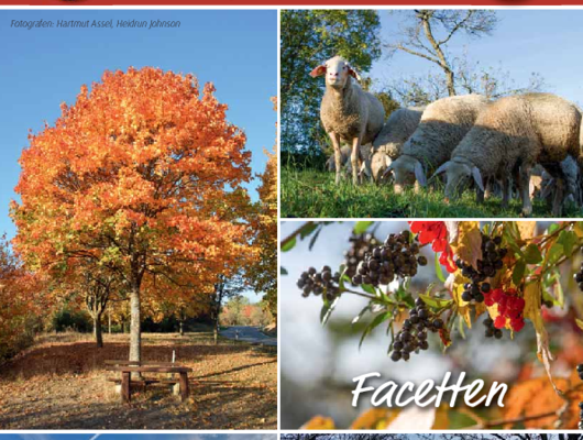 Mitteilungsblatt September/Oktober 2026 (PDF) Mitteilungsblatt September/Oktober 2026 (PDF)